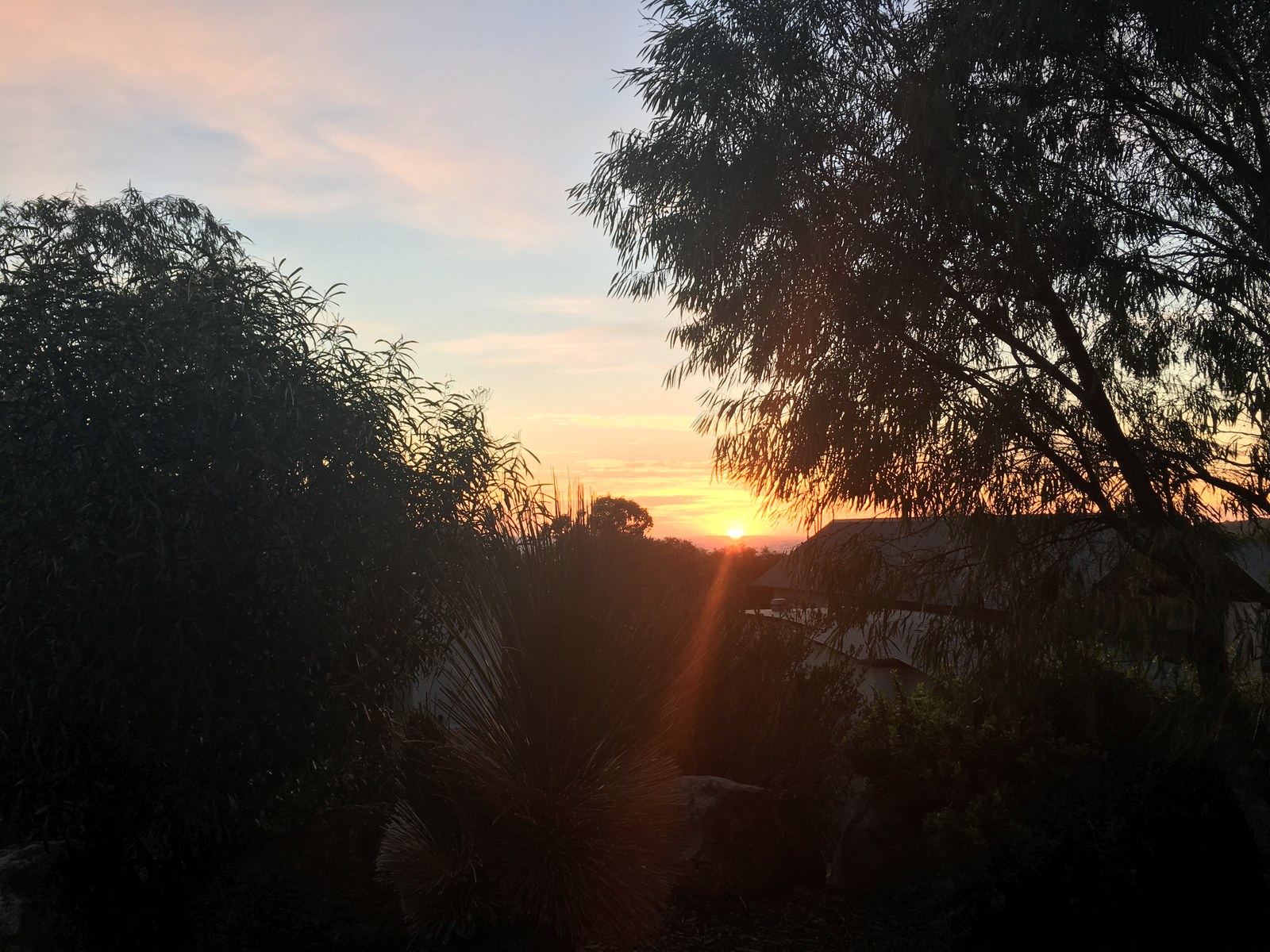Sunset west over the treeline, photographed from Room 214 at Pullman Bunker Bay Resort