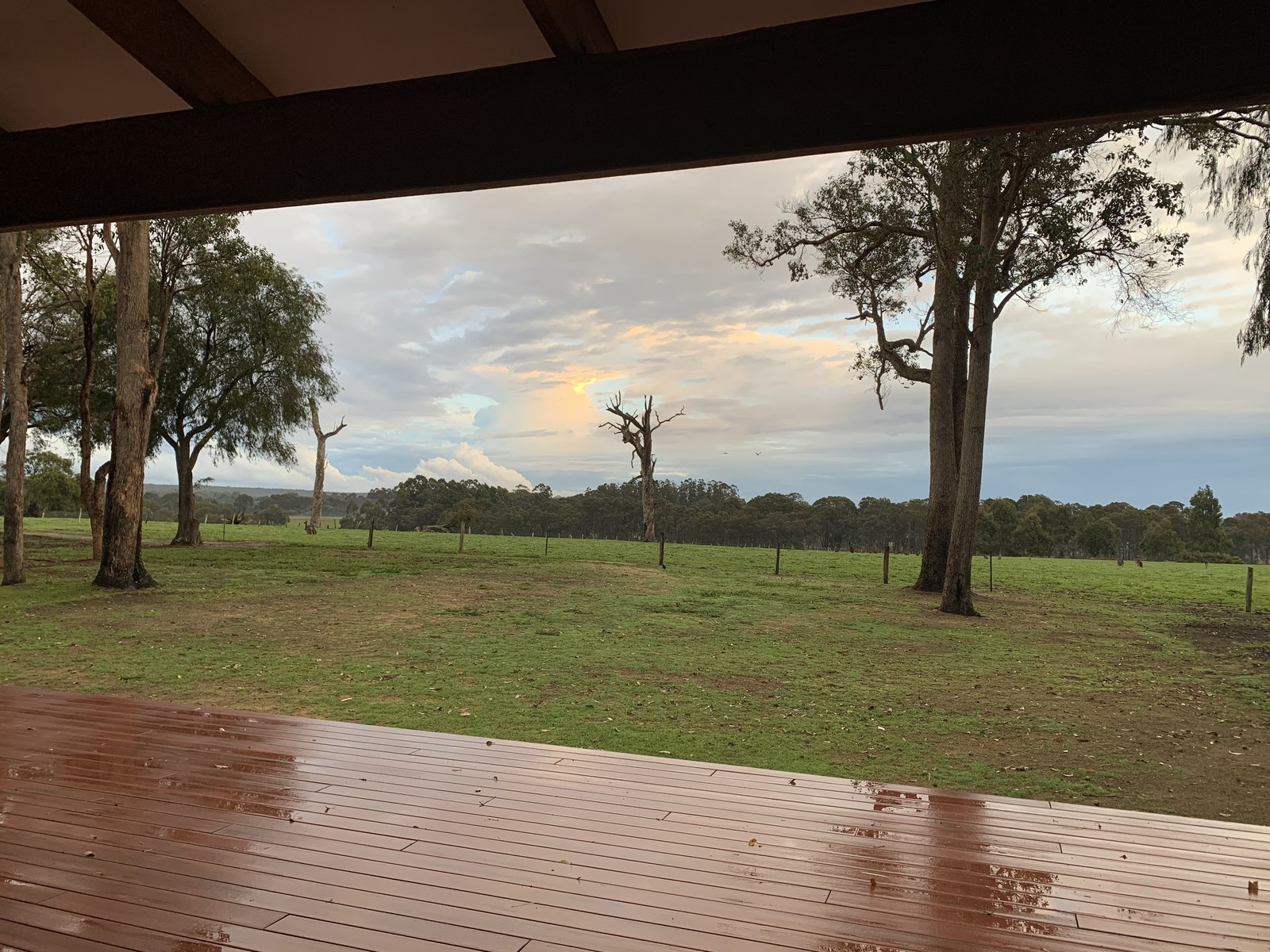 Covered deck looking over the paddock to the gum trees at The Lodge, Forest Rise